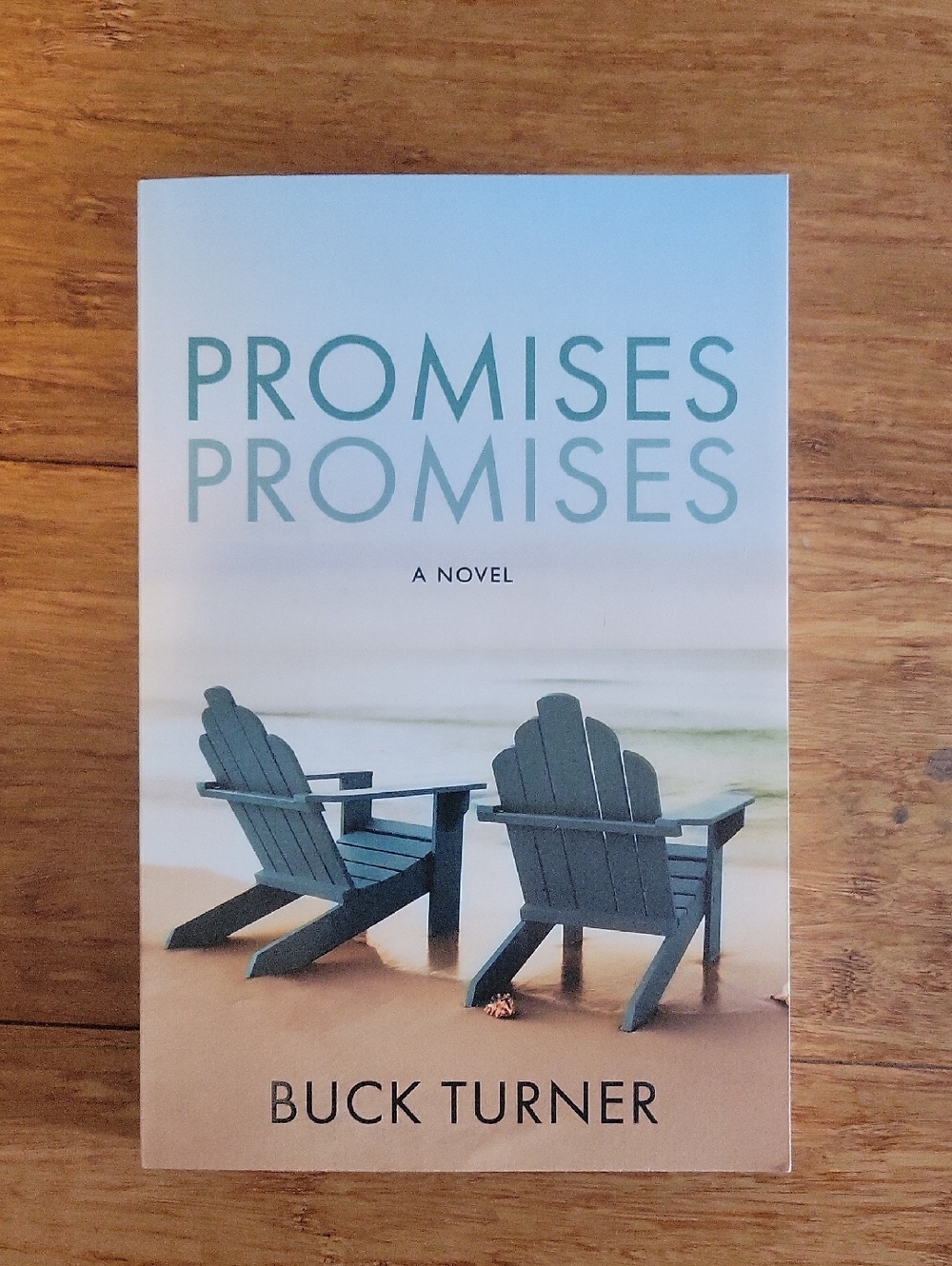 Promises, Promises by Buck Turner